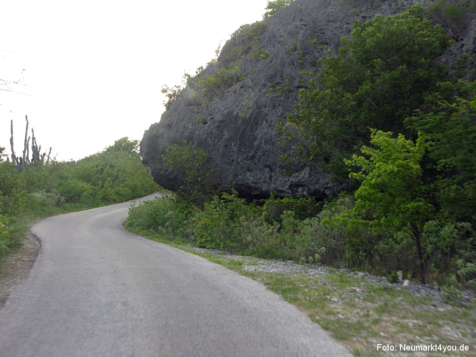 0017 Insel Bonaire 2009